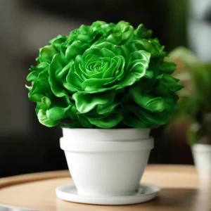 Элегантный флорариум Элегантный флорариум